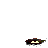 21.gif